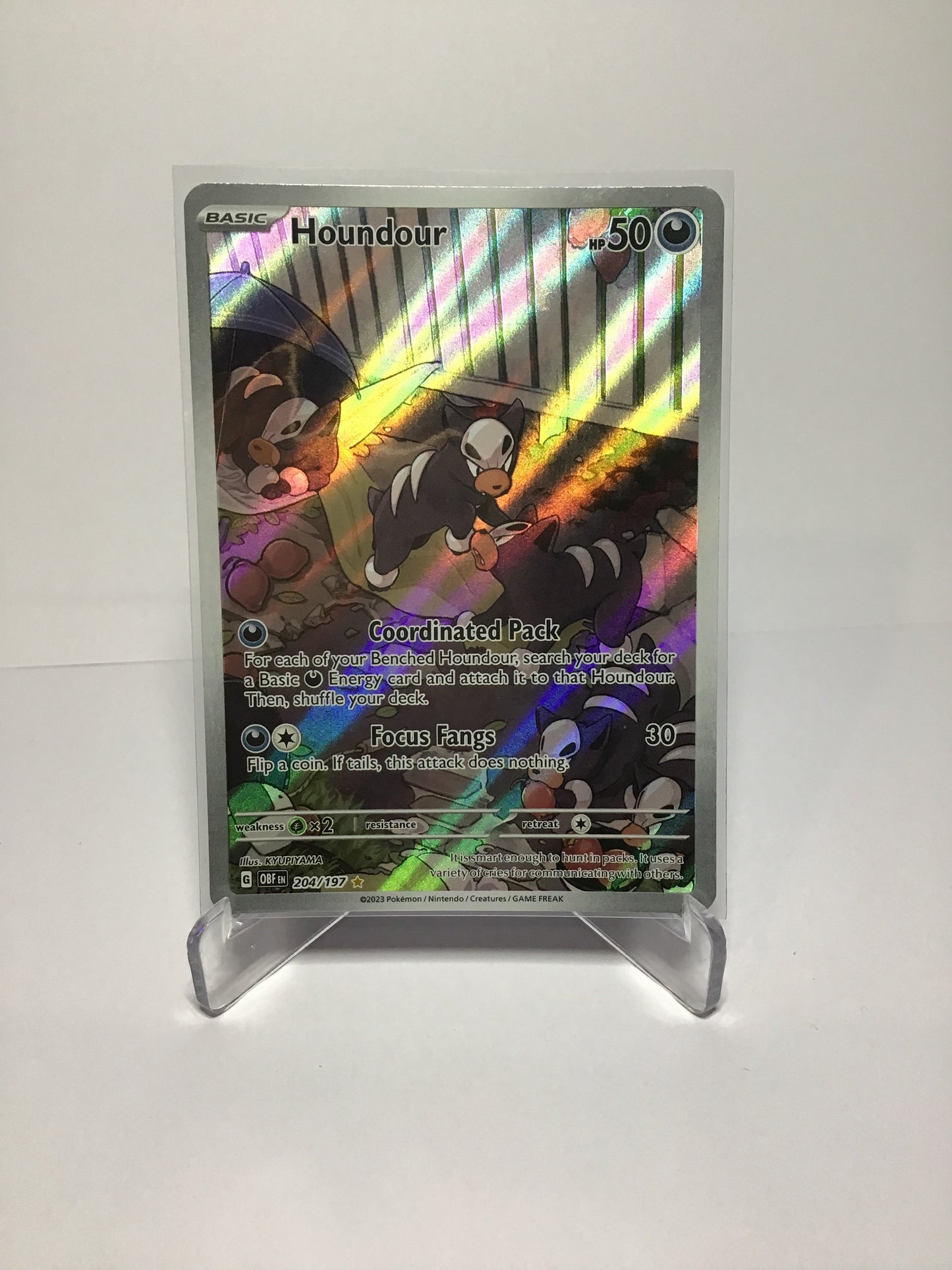 Houndour 204/197
