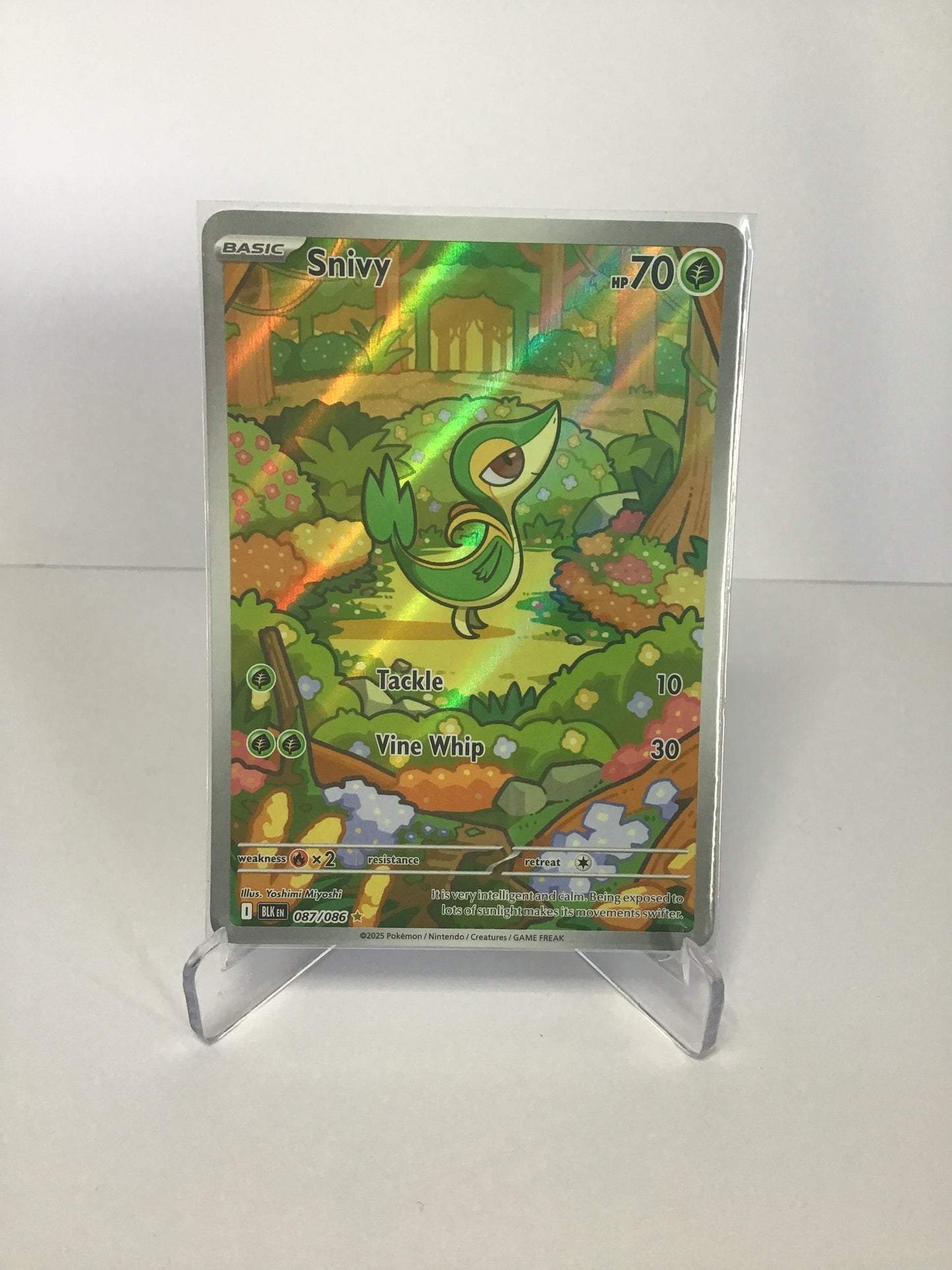 Snivy 087/086