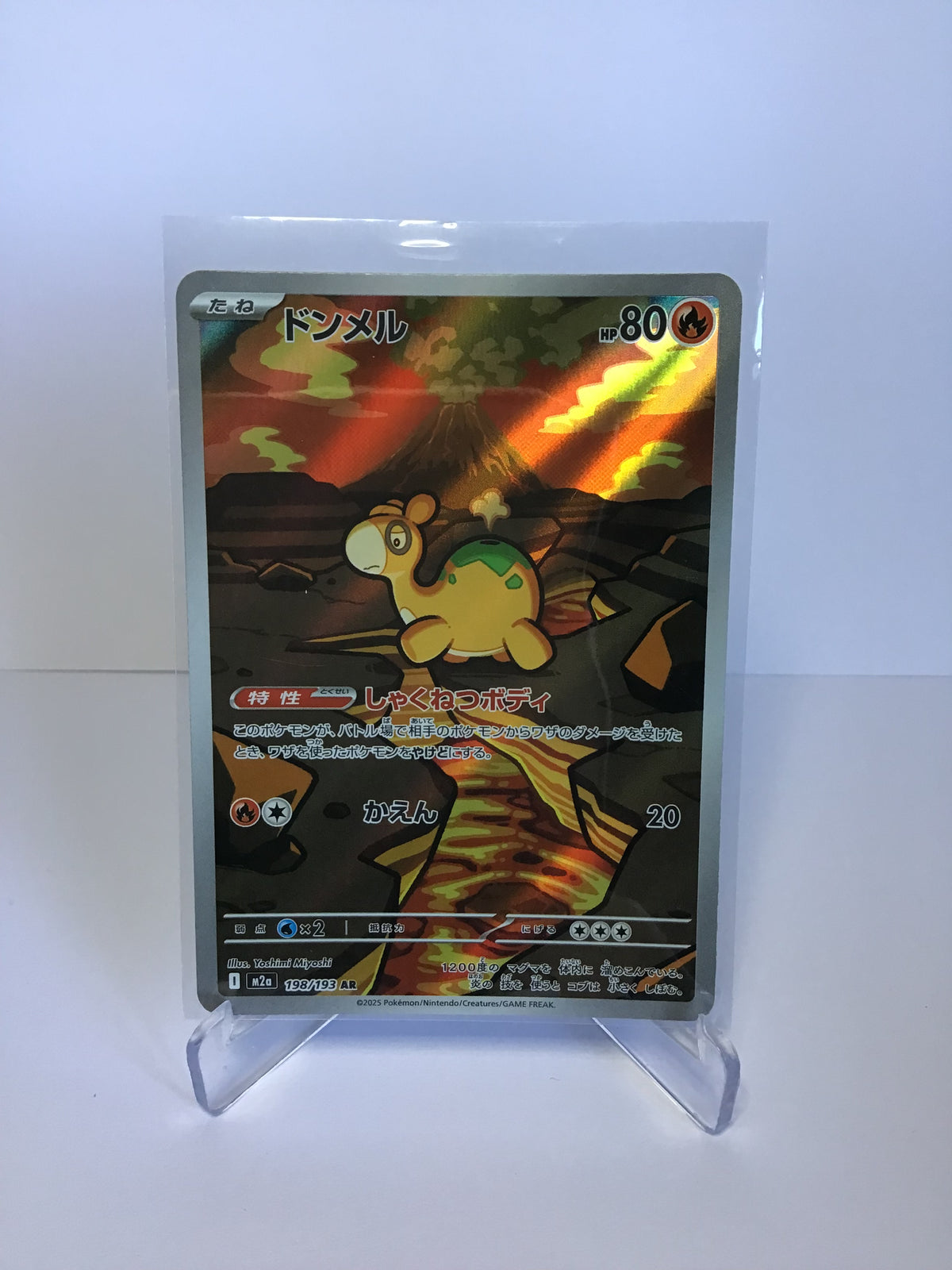 Numel 198/193 (JP)
