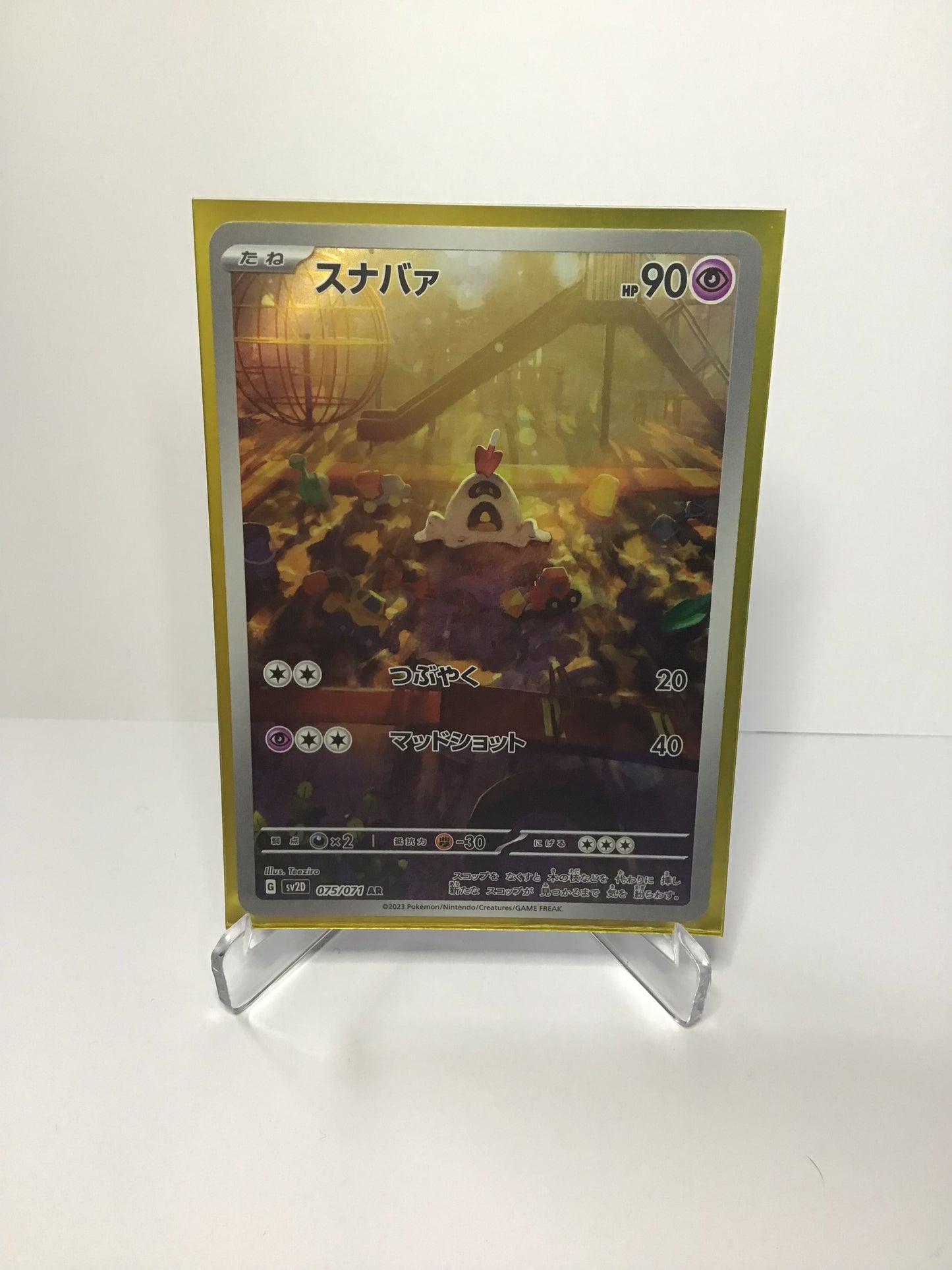Sandygast (JP) AR
