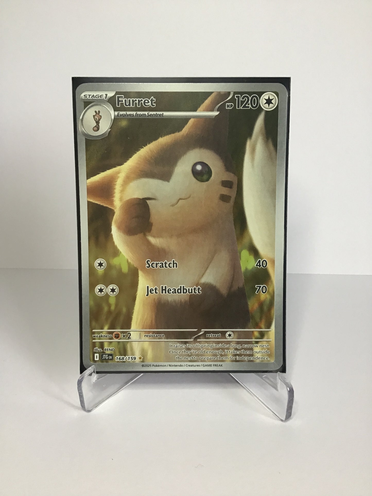 Furret 168/159