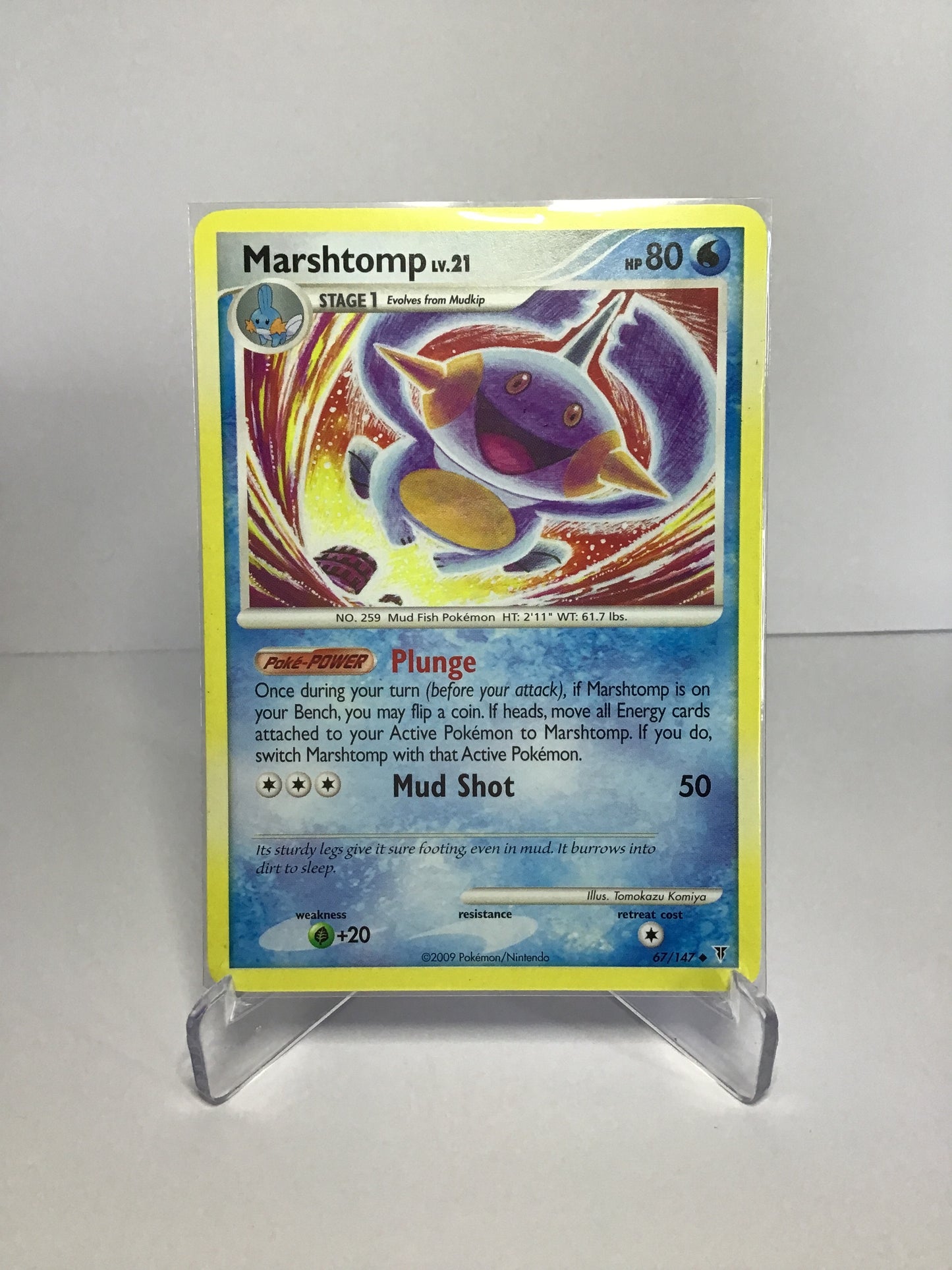 Marshtomp Lv 21 67/147