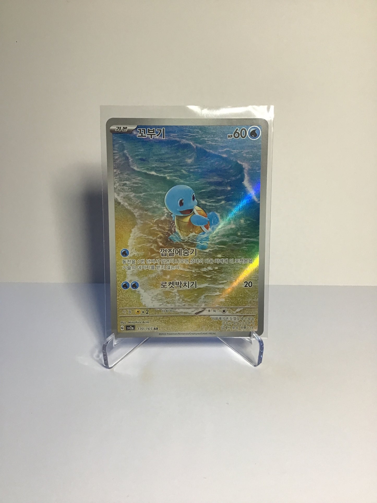 Squirtle (JP) AR