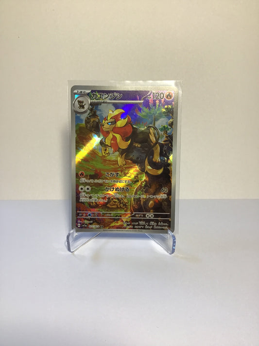 Pyroar (JP) AR