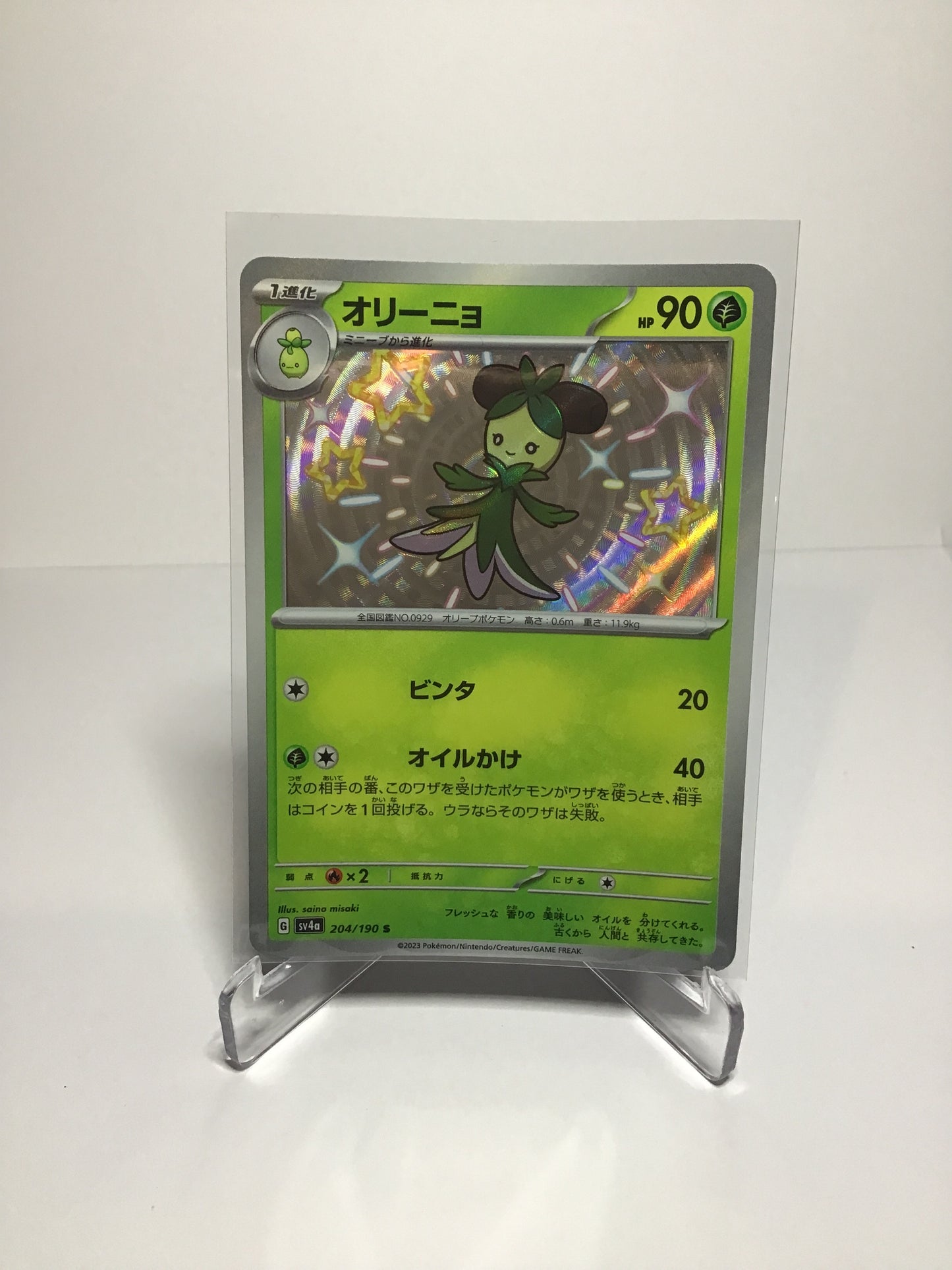 Dolliv (JP) 204/190