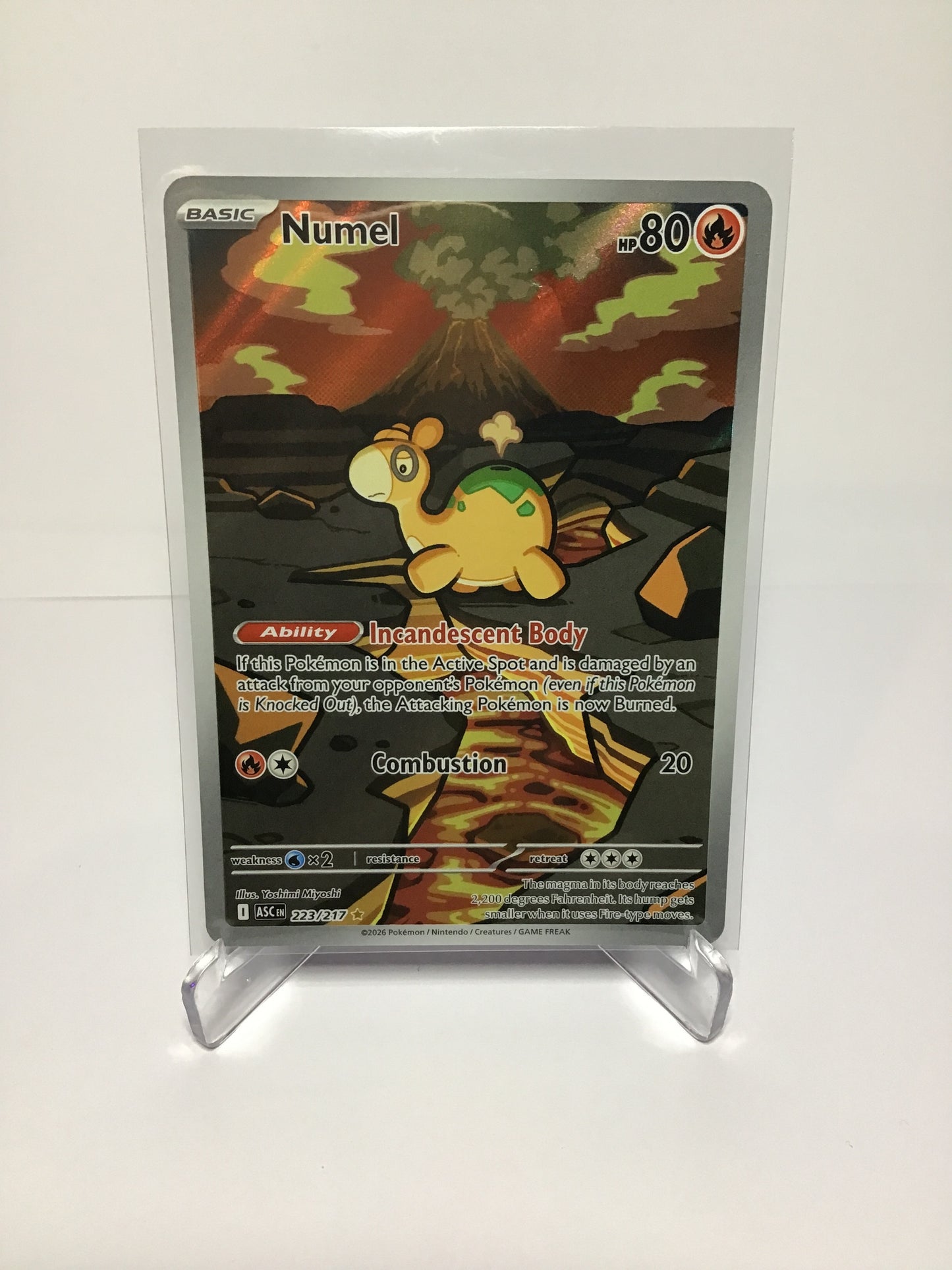 Numel 223/217