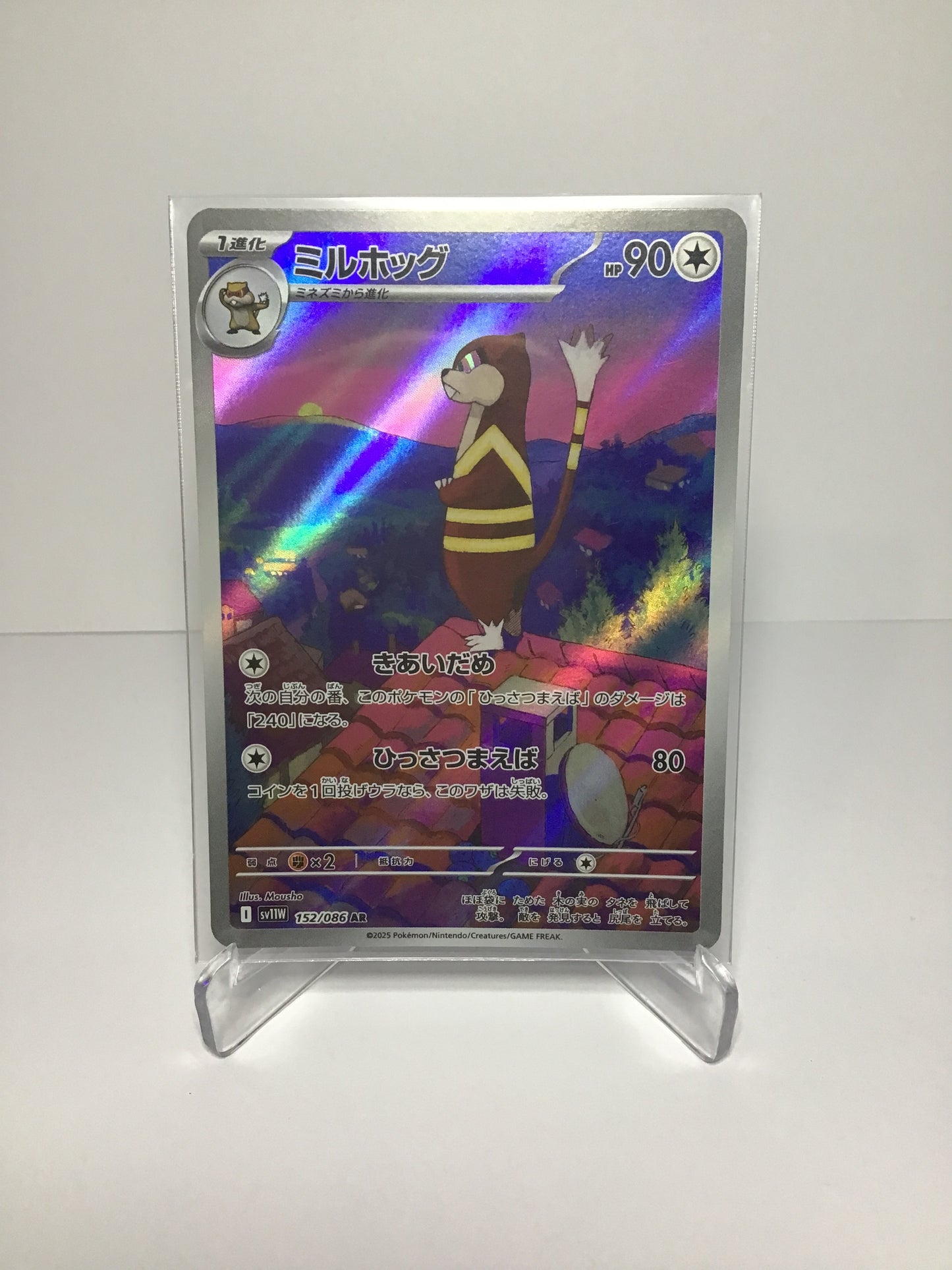 Watchog 152/086 AR (JP)